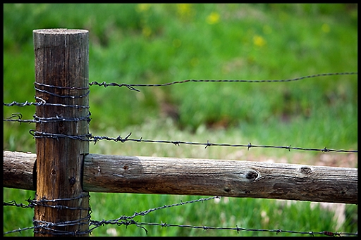 Fence Post.jpg